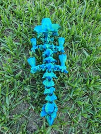 Image 3 of Baby Easter Dragon