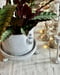 Image of Cache-pot avec soucoupe Empire