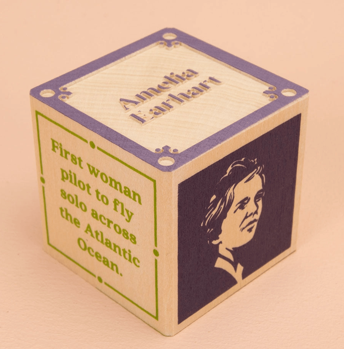 Image of Women Who Dared Blocks