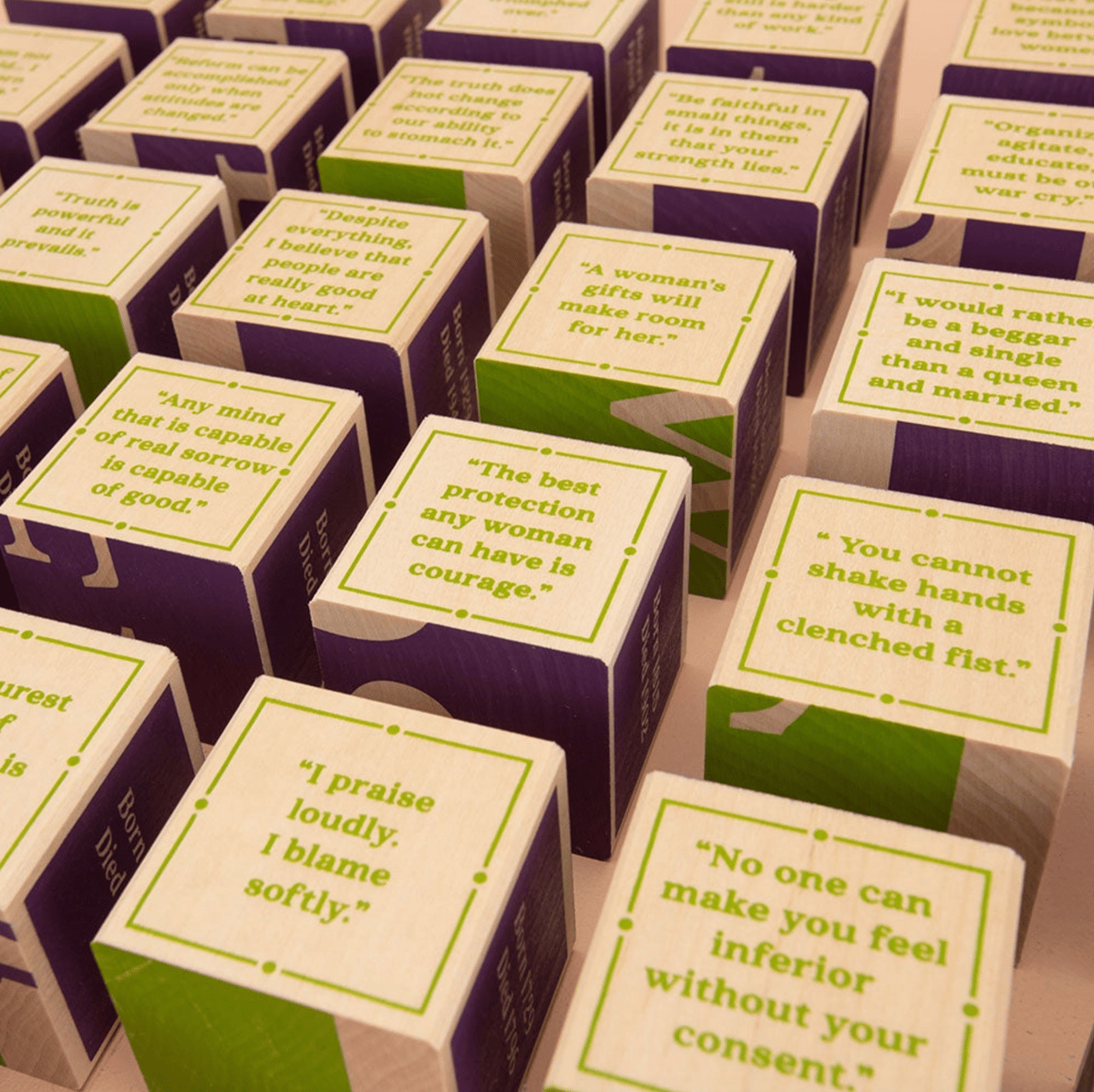 Image of Women Who Dared Blocks