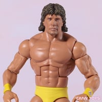 Image 3 of PRE ORDER - Texas Tornado Mattel Elite custom