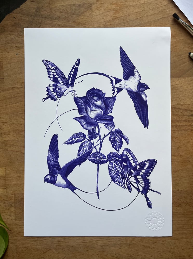 Image of Biro rose