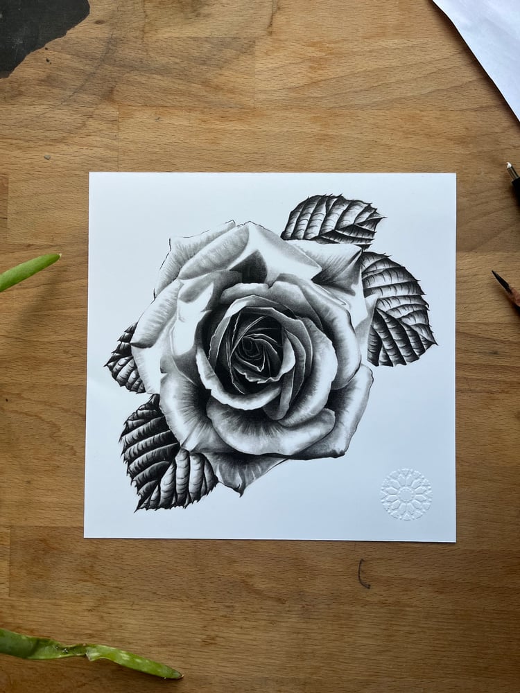 Image of Rose print 20cm x 20cn