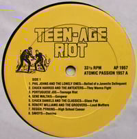 Image 3 of VA - TEEN-AGE RIOT! - 50,000,000 DELINQUENTS CAN'T BE WRONG (LP)