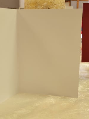 Image of Thankful for all the Blessings