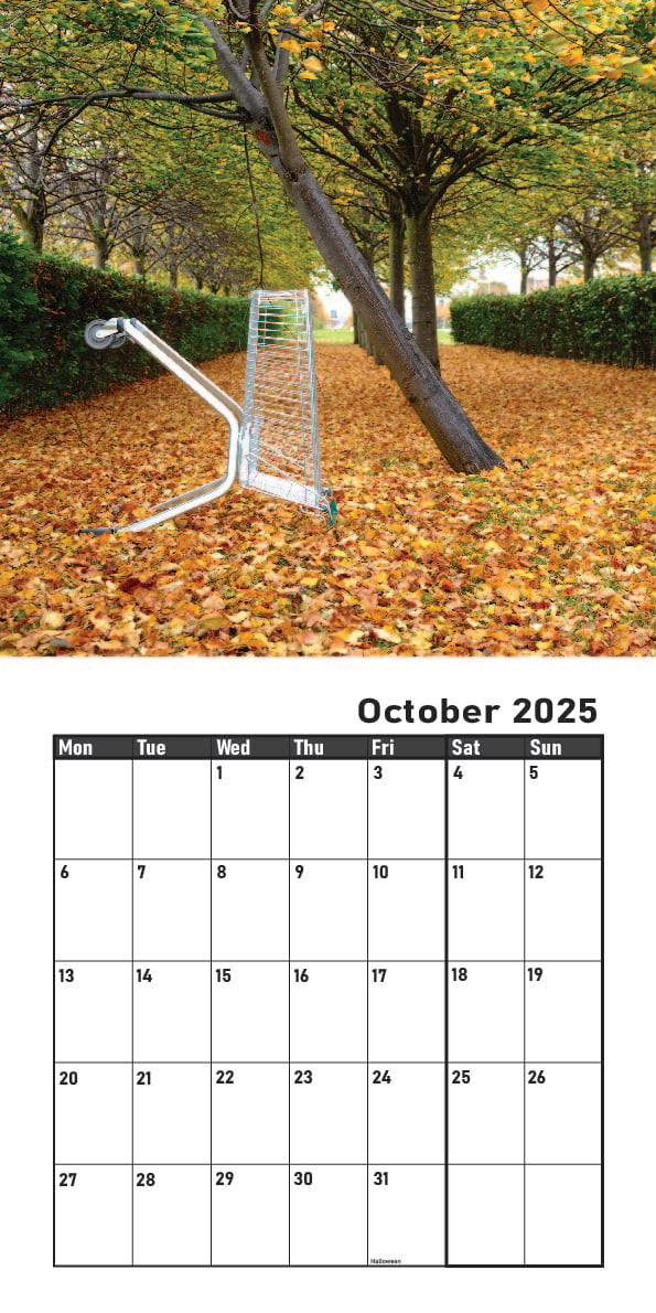 Image of ABANDONED TROLLEYS 2025 CALENDAR