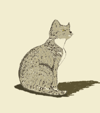 Autocollant Chat couleur