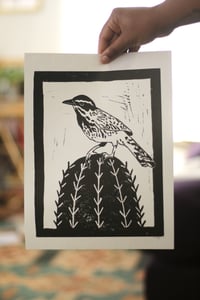 Image of cactus wren