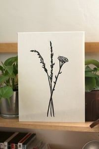 Image of grass & yarrow