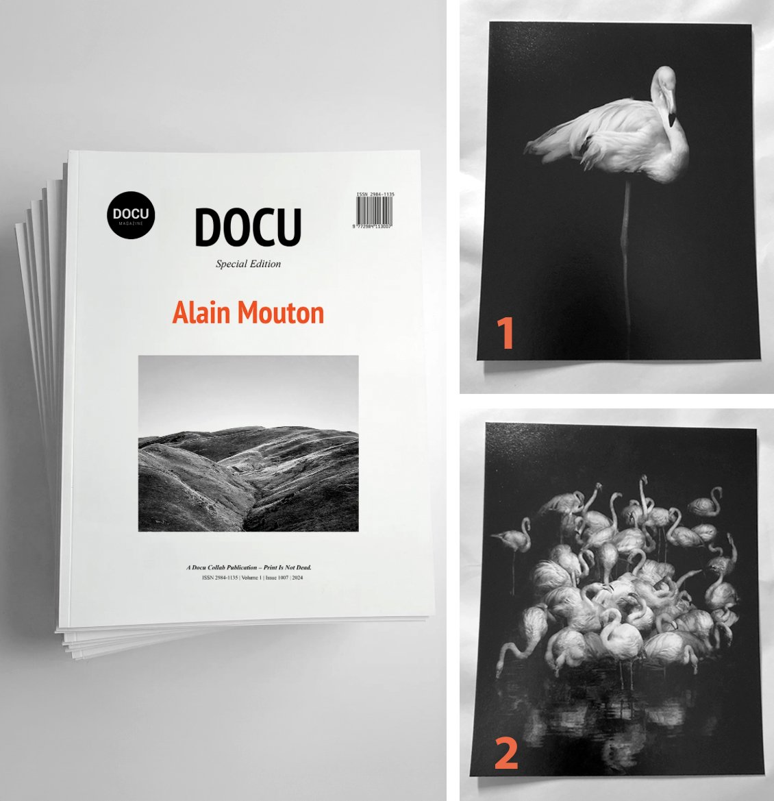 Image of Docu Magazine + 1 tirage photo