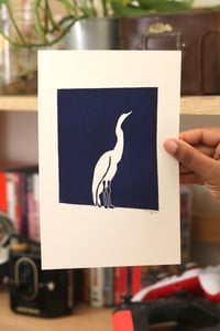 Image of egret