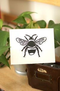 Image of bee