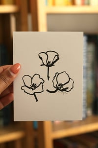 Image of ivory poppy