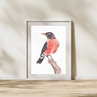 Image 1 of Robin Watercolor Painting Fine Art Print