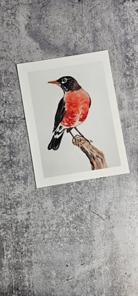 Image 3 of Robin Watercolor Painting Fine Art Print