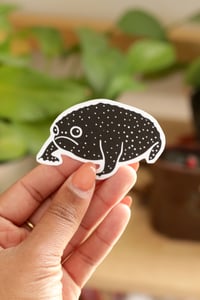 Image of rain frog sticker