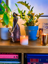 Image 7 of Citrus Collection 