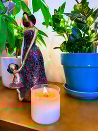 Image 3 of Citrus Collection 