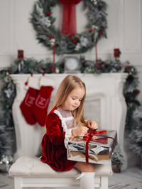 Image 2 of Final Payment - Christmas Mini Session + Reel (video)