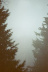 Image 1 of Middle distance (twins) 
