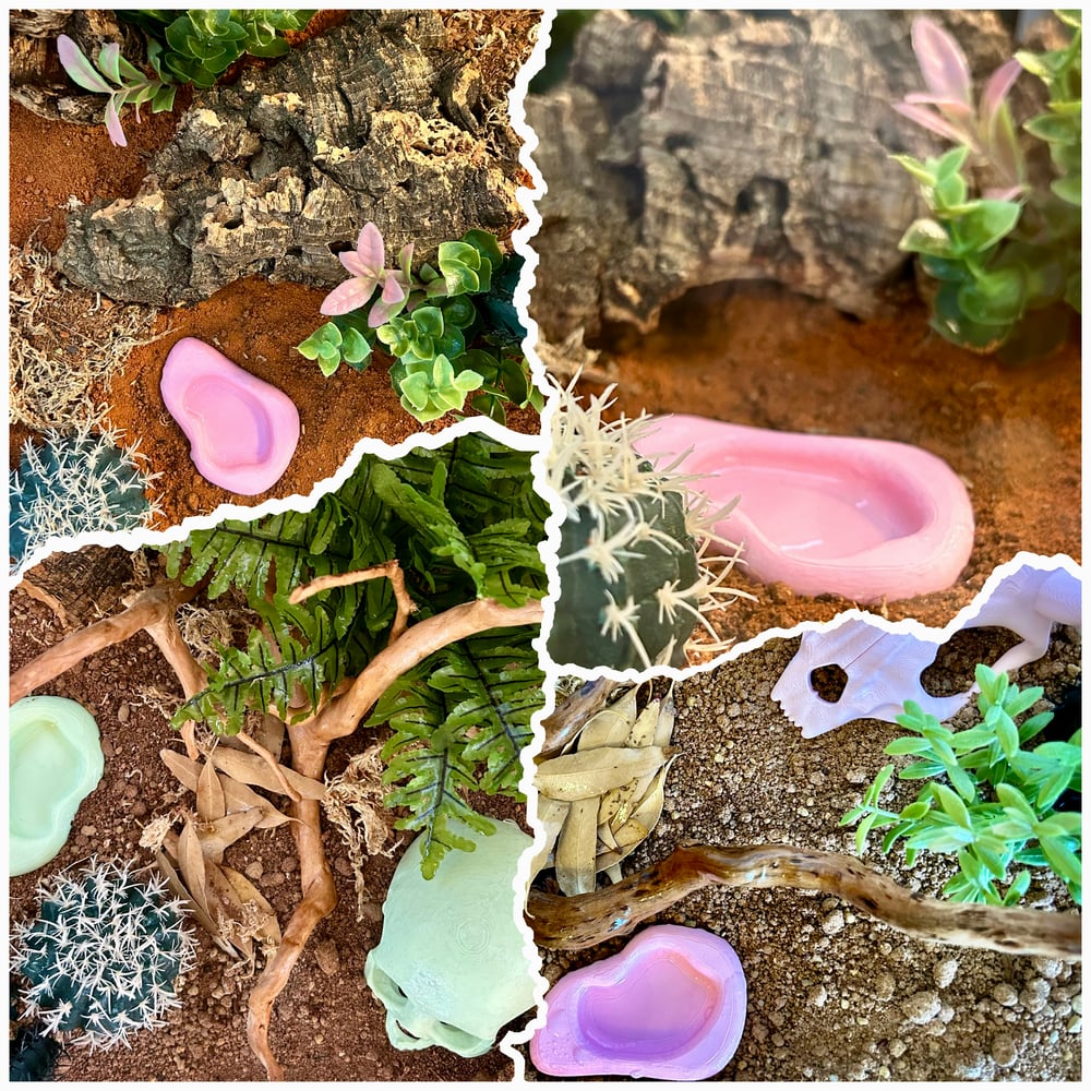 FHOS - Large Hides / Accessories