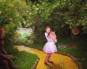 Image of WICKED & WIZARD OF OZ Inspired Set 2024