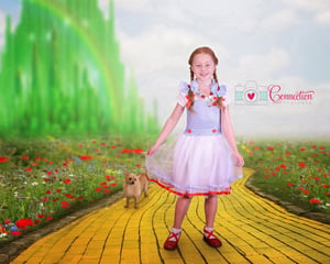 Image of WICKED & WIZARD OF OZ Inspired Set 2024