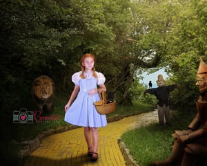 Image of WICKED & WIZARD OF OZ Inspired Set 2024