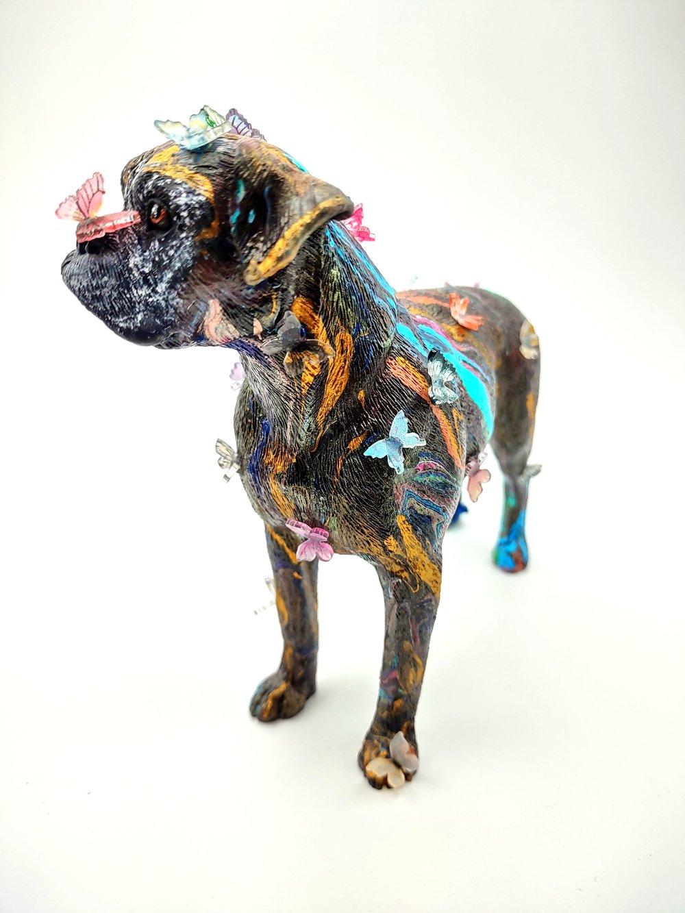 Standing Butterfly Boxer Brown Eyes
