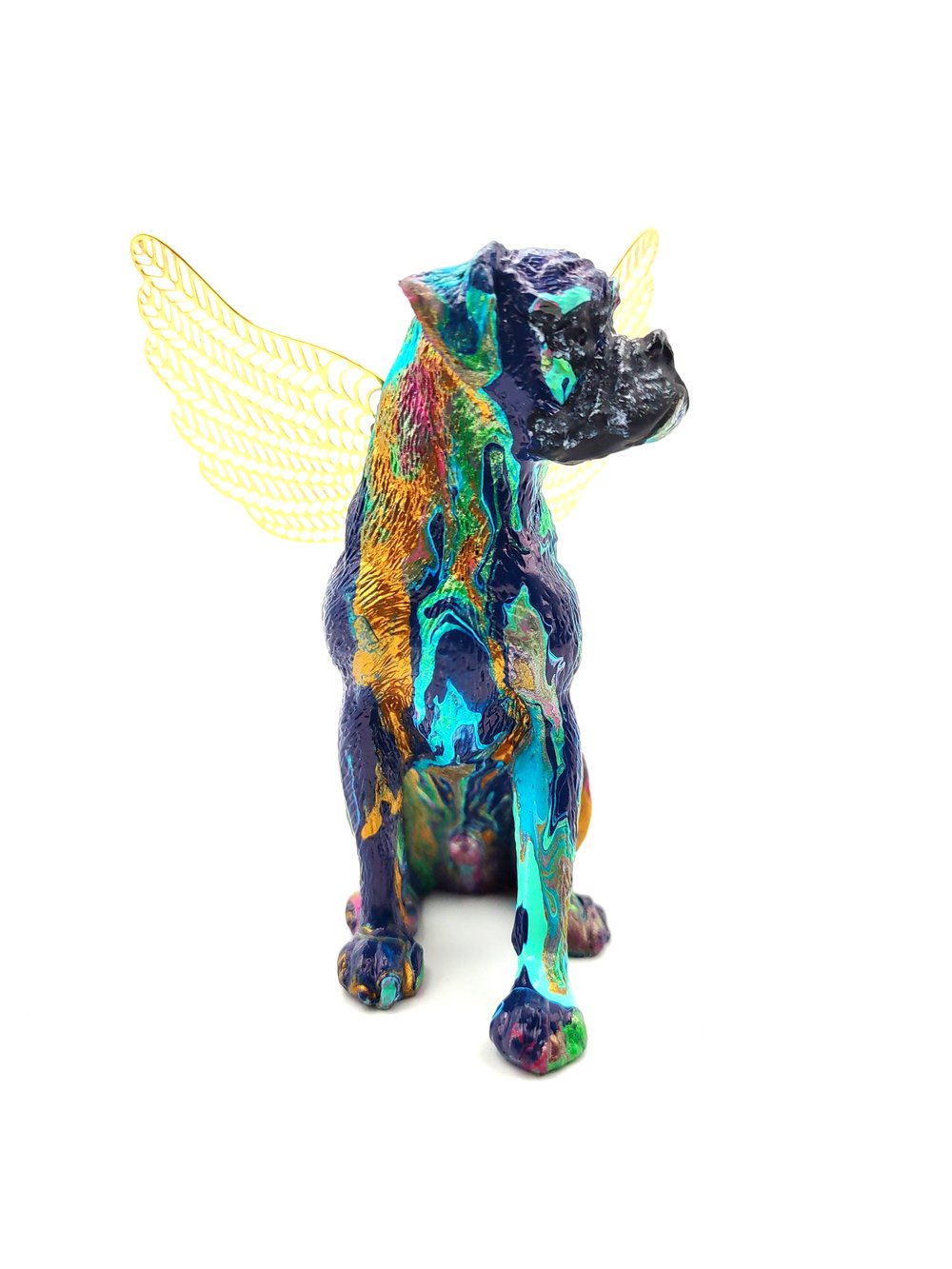 Male Blue Gold Aqua Rainbow Boxer Angel