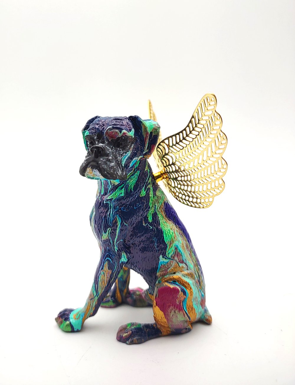 Male Blue Gold Aqua Rainbow Boxer Angel 