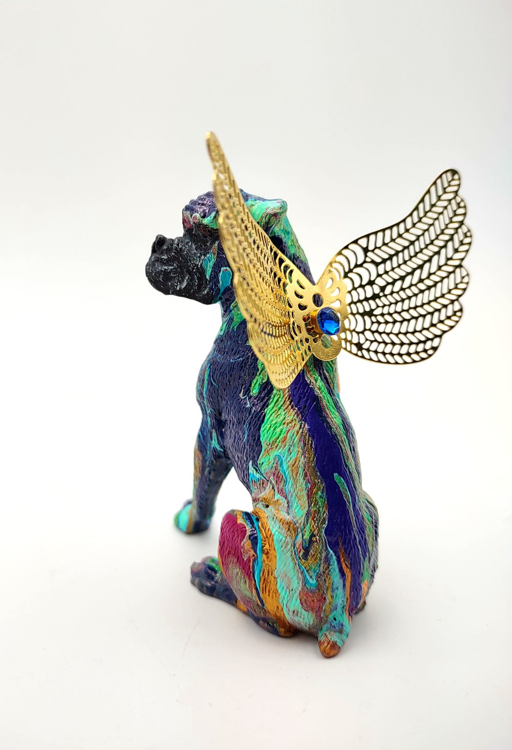 Male Blue Gold Aqua Rainbow Boxer Angel