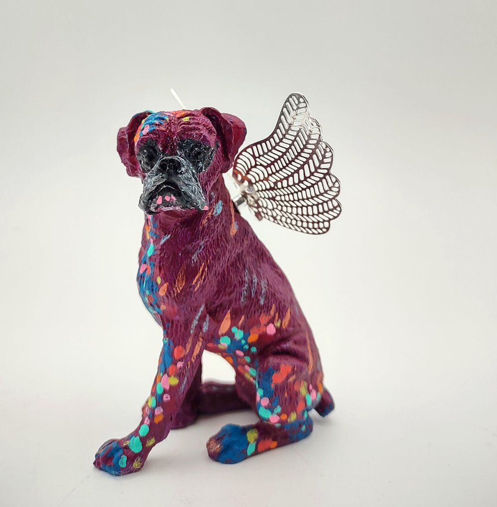 Female Plum Rainbow Boxer Angel