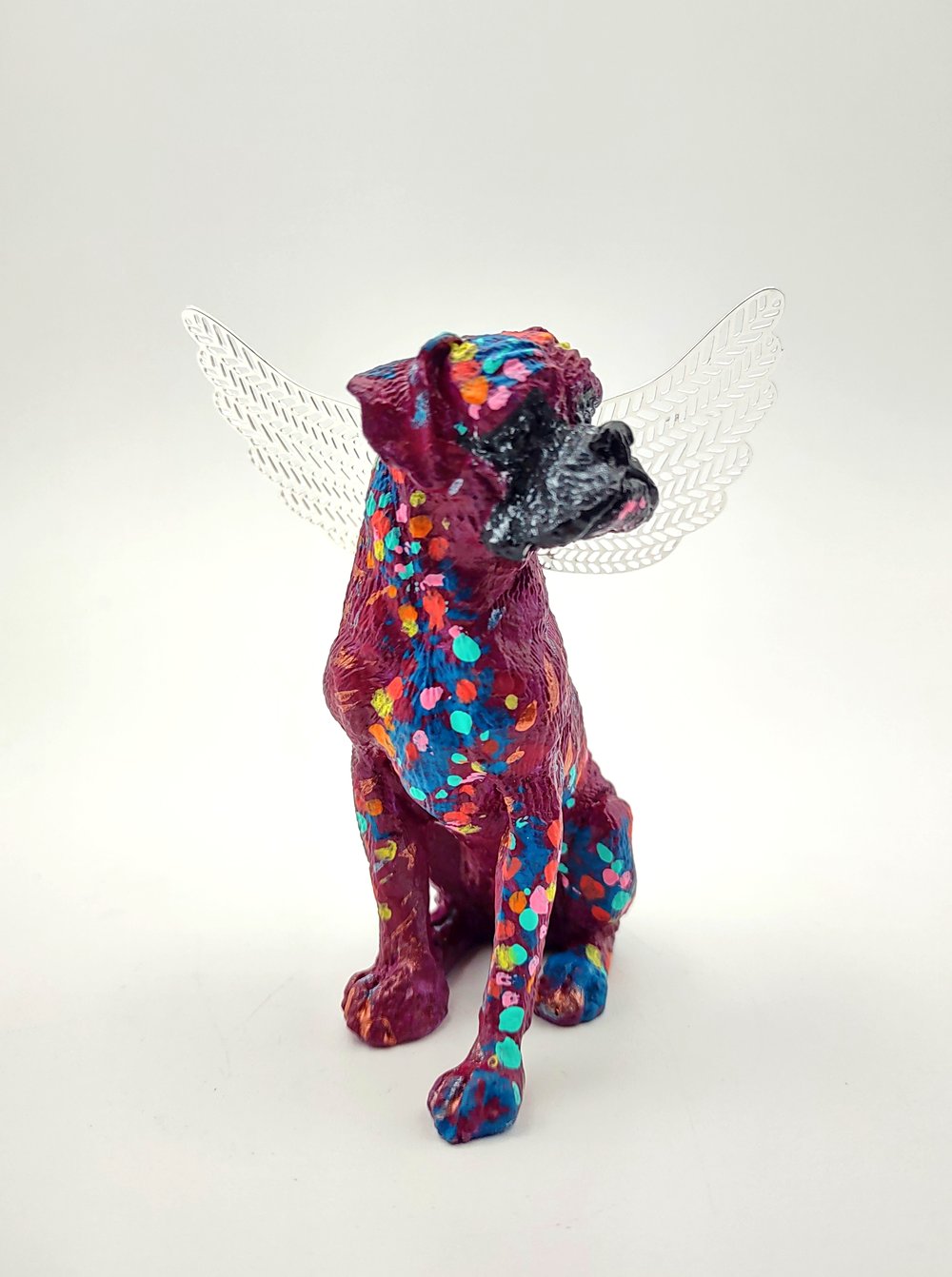 Female Plum Rainbow Boxer Angel 