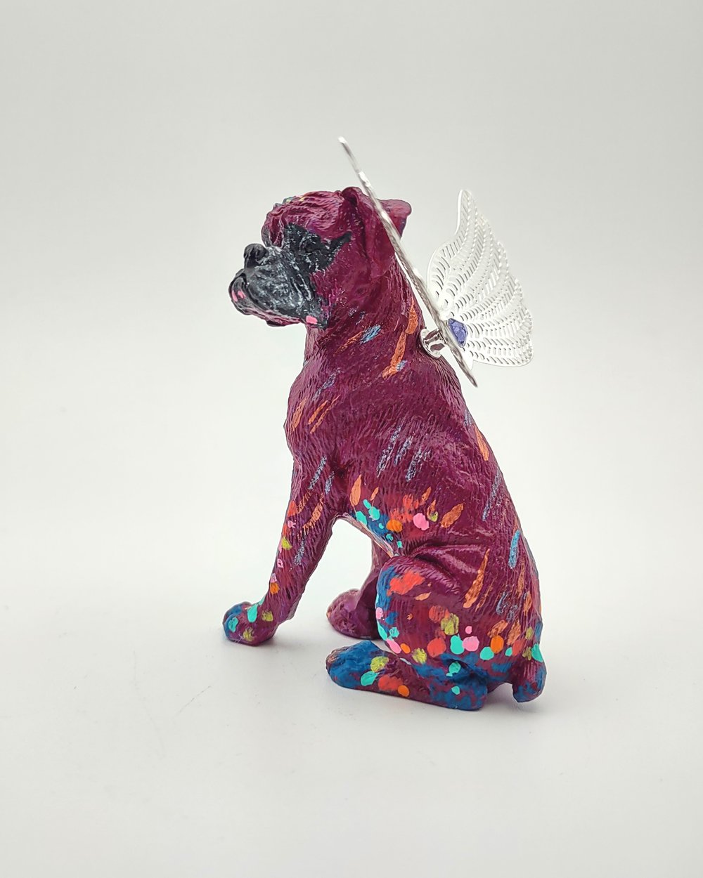 Female Plum Rainbow Boxer Angel 