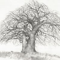 Image 3 of Original painting - "Baobab de la Cordillère de l'Atacora" - Bénin - 29,6x42 cm