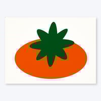 Tomato / 38,8 x 29,6 cm