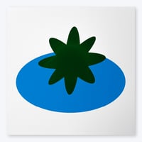 Image 2 of Tomato / 60 x 60 cm