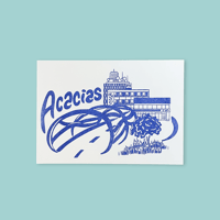 Image 1 of Acacias