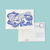 Image 2 of Champel
