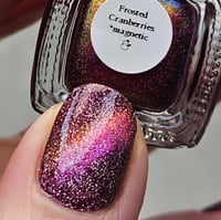 Image 24 of Frosted Cranberries *magnetic