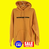 "Skateboarding is stupid" Hoodie