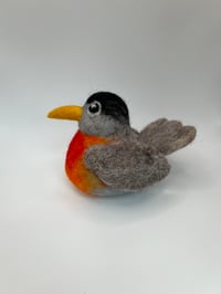 Image 2 of Robin Birb