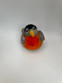 Image 1 of Robin Birb