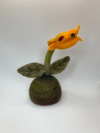 Image 1 of Dragon Snapper Botanical Beast 