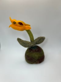 Image 2 of Dragon Snapper Botanical Beast 