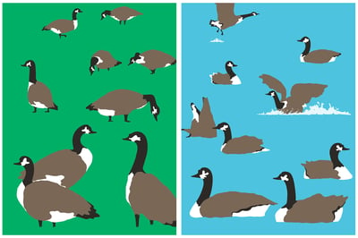 Image of Geese Prints (Park + Lake)