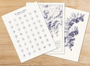 Image of White Mountains Bundle (save 20%!)