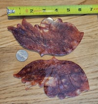 Image 4 of Fire Quartz Butterfly