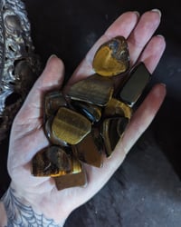 Tigers eye chips 